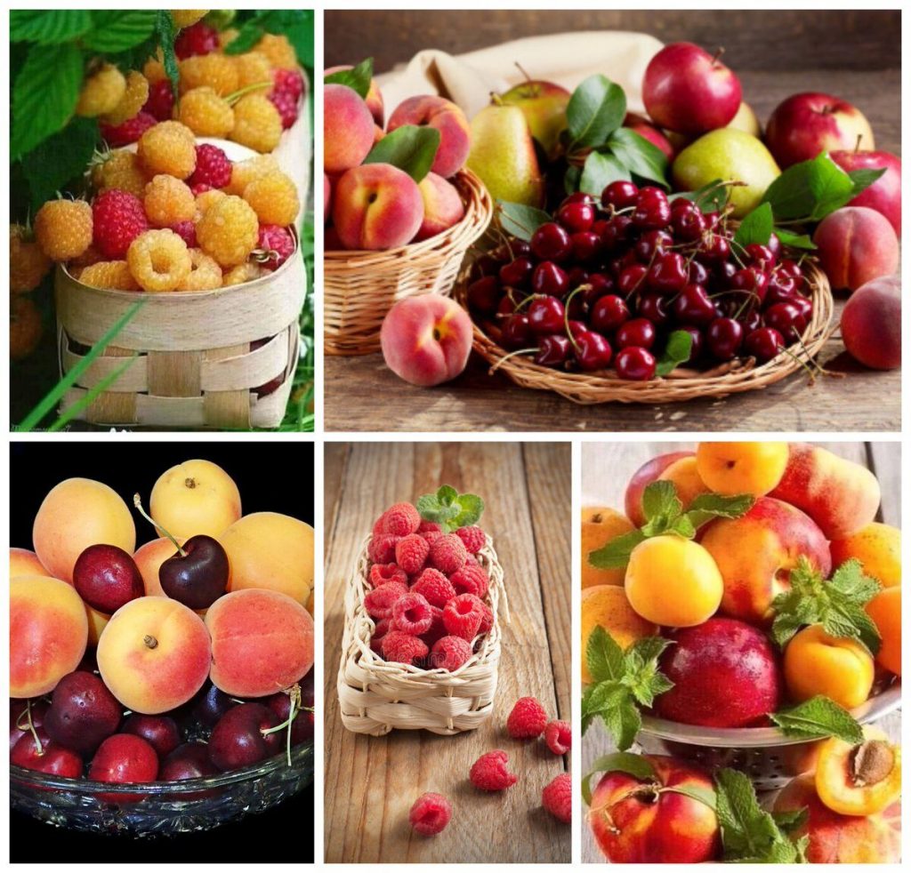 Вы будете удивлены: плодовые косточки иногда полезнее, чем сами фрукты