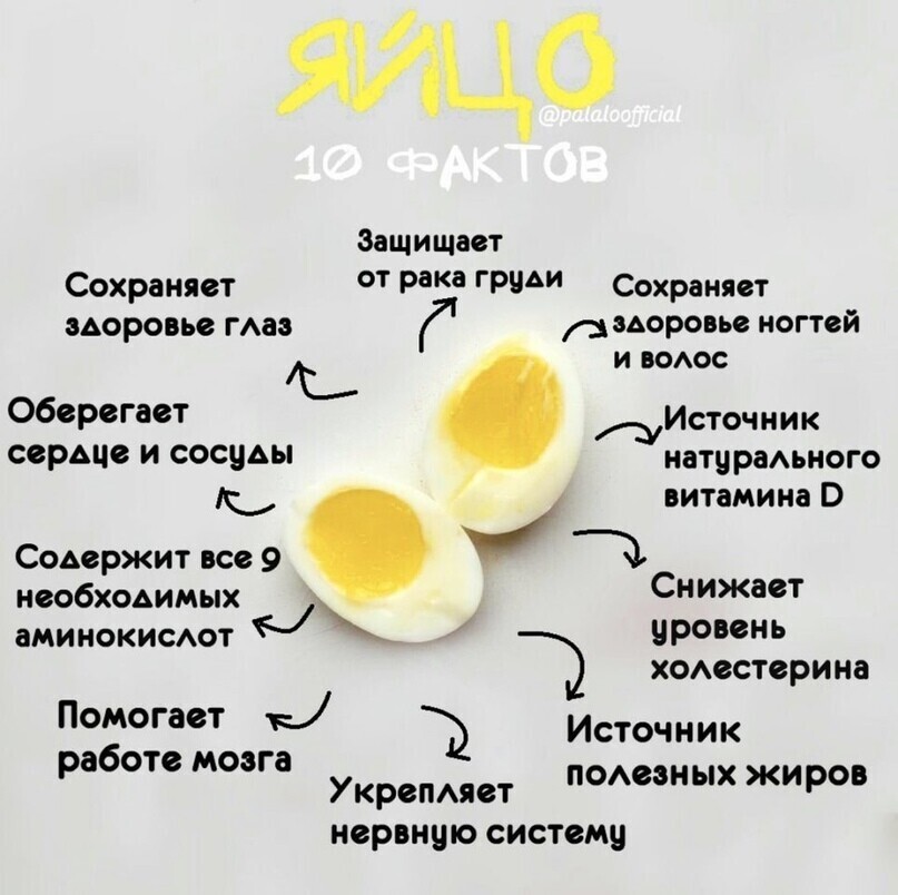 Всё про яйца