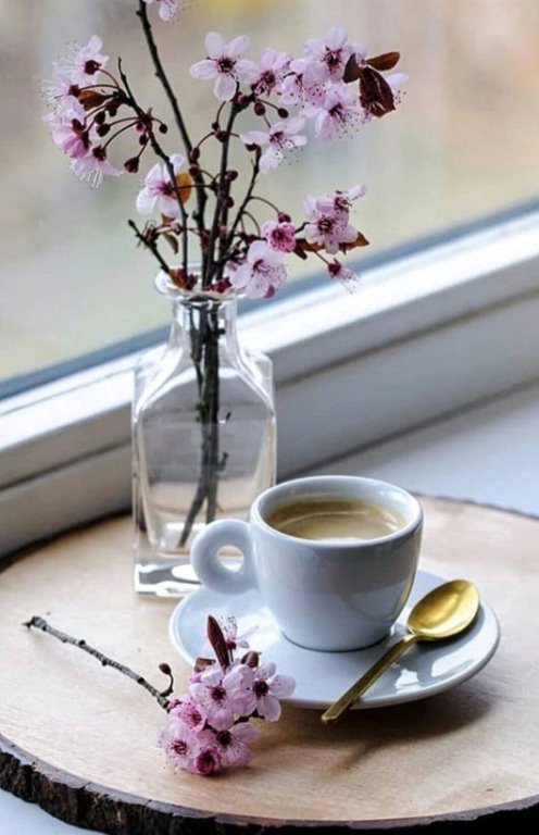 Утро, кофе, тишина...