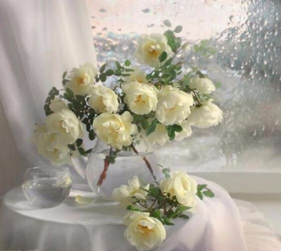 Белые розы. Автор: Мария Скиба