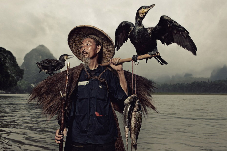 Рыбалка с бакланом — одна из древнейших традиций рыбной ловли Китая, Японии, Вьетнама