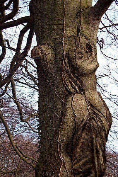 Лица на деревьях скульптора Кейта Дженнингса (Keith Jennings)