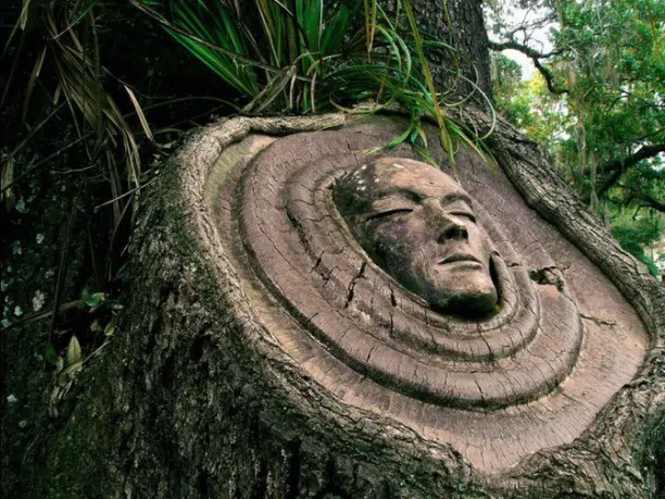 Лица на деревьях скульптора Кейта Дженнингса (Keith Jennings)
