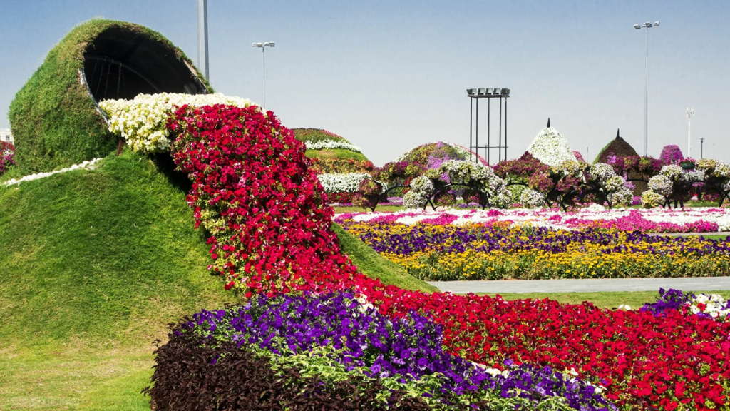 Чудо-сад Miracle Garden в Дубае
