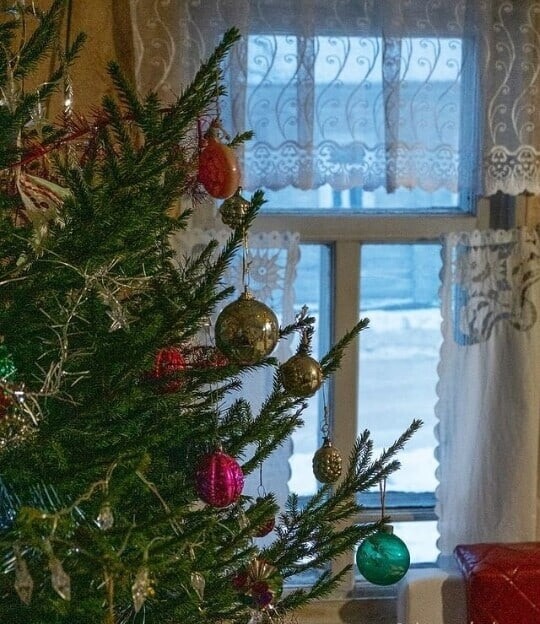 Клара, Дед Мороз и Дед Резиновый сапог. Автор: Татьяна Пахоменко