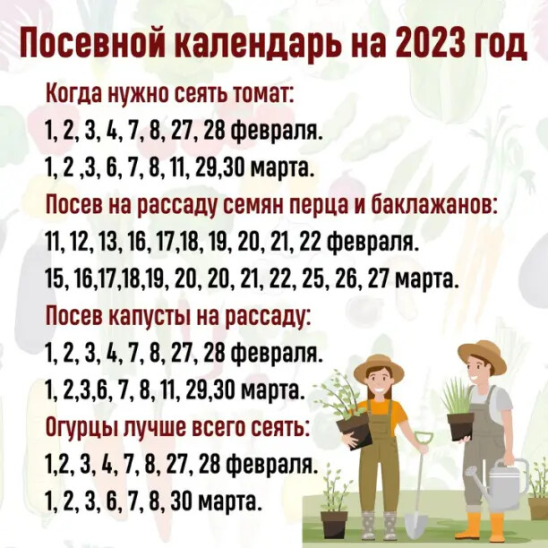 Календарь посева на 2023 год